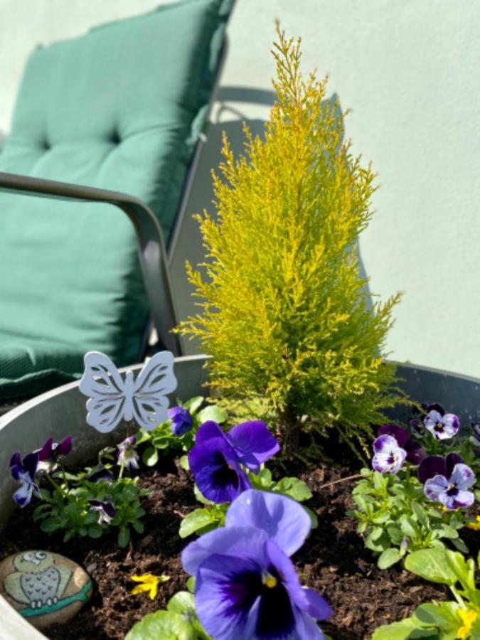 Apartmany U Rybnicka Pribraz Екстериор снимка